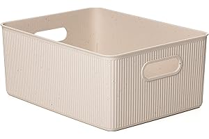 TATAY Caja Organizadora Rectangular Baobab ECOHOME, 15L de Capacidad, de Polipropileno, Libre de BPA, Plástico 100% Reciclado. Medidas 29,4 x 38,5 x 16 cm