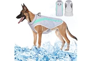 Vivi Bear Gilet Di Raffreddamento Per Cani Con Pettorina, Giacca Di Raffreddamento Traspirante Per Cani Sollievo Dall'Ansia,Cappotto Morbido Per Cani Di Piccola Media E Grande Cani, Verde M