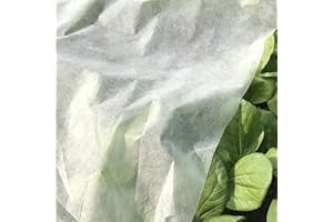 acquaverde Telo di Protezione Antigelo e da Sbalzi Termici per Piante, Fiori e Colture, in Tessuto TNT Leggero 17 gr/mq, in Rotolo, Bianco (2x10 mt)