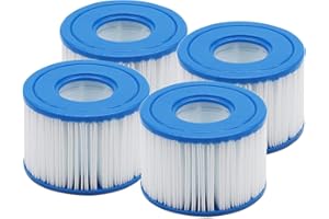 SOKANA 4 Filtre Spa Taille Type S1 pour Pompe de Piscine Spa Gonflable Hot Tubs Compatible Accessoire Spa Intex 29001E 11692 Bestway Pure Spa
