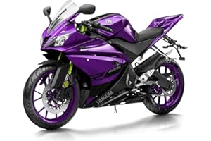 ADDECTHRY Hongben MOTO - Kit completo de carenado de motocicleta de plástico ABS para inyección preperforada para motocicleta R125 2008-2013/2014-2018 (2008-2013, B)