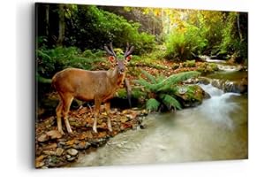 ARTTOR Cuadros Decoracion Salon Otoño montaña corriente paisaje Lienzos decorativos 120x80cm Cuadro Sobre Lienzo Moderno Dormitorio Cuadros Pared Imágenes Wall Art Prints Decor Grande XXL AA120x80-2243