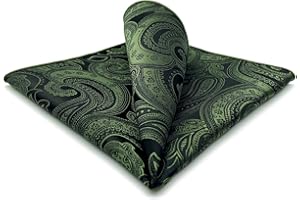 S&W SHLAX&WING Mens Pocket Square Assorted Paisley for Suit Jacket Business XL