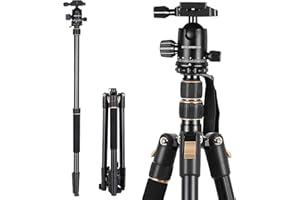 SPEEDSPORTING Kamera Stativ 205cm Aluminium Stativ Reisestativ mit Einbeinstativ, Fotostativ 360° Kugelkopf mit Schnellwechselplatte Tragetasche für Canon Nikon Sony Olympus