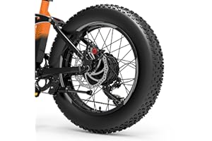 DualColorStampe Adesivi Cerchi Bici FAT BIKE 20'' Pollici Ruota Bici accessori Fat bike MTB Stickers Cerchi - B0089 (Grigio 74)