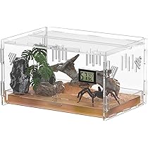 Chamäleon Futternapf Aus Acryl – Hängender Insektenspender Mit Klettersäule, Für Bartagamen, Geckos & Reptilien