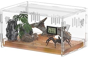 Giznzg Terrarium pour Reptiles avec hygromètre de température, 40x25x18cm boîte d'élevage en Acrylique pour Reptiles et Insectes à Domicile (Terrestrial Large)