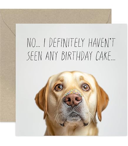 8-Quart Digital Air Fryer