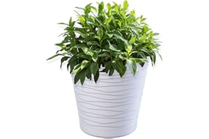 KADAX plastikowa doniczka z podstawką, doniczka na rośliny do wnętrz, lekka donica wykonana z tworzywa sztucznego, okrągła doniczka fale 3D (17 cm, biała)