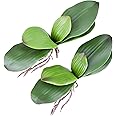 Fnize Faux Phalaenopsis Orchid Leaves Artificial Bulk Green Real Touch Latex Cymbidium Stems Leaf Roots 8 Inches 2pcs