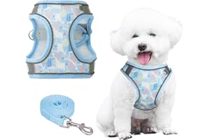 PawSailor Harnais pour Chien avec Laisse, Anti-Traction, Anti-Fuite, avec Imprimé Floral, Facile à Marcher, Respirant Mesh Réfléchissant, Réglable Harnais pour Petits Chiens, Chats, Bleu S
