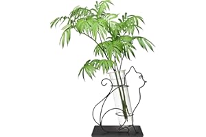 Dormercy Tube à essai pour plantes terrarium avec support en métal, station de propagation en verre pour bureau et décoration de maison