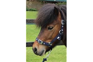 Ruggles Head Collar for Shetland Pony and Miniature Horses | Durable and Adjustable | Ideal for everyday use (Navy, Shetland)