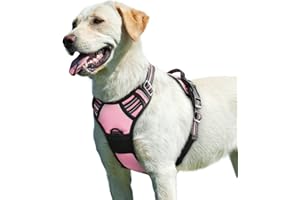 Eagloo Arnes de Perro Antitirones Cómodo Chaleco Ajustable Correa al Cuello y Pecho para Perros Grande Material Duradero Transpirable con Cinta Reflectante Adaptarse a Ejercer Externo L/Rosa