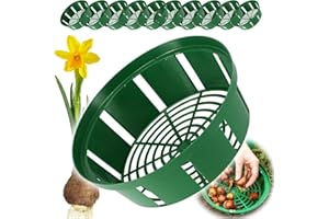 B2C Bulb Baskets Daffodil Tulip Crocus Snowdrop Allium Easy Planter 20cm/23cm/26cm (26cm, 10)