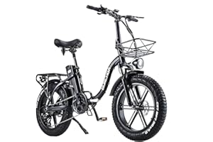 BURCHDA Bici elettriche per adulti, R8S 20 "* 4" Fat Tire pieghevole Mountain bike elettrica, 48 V 20 Ah batteria rimovibile, display LCD, 8 velocità