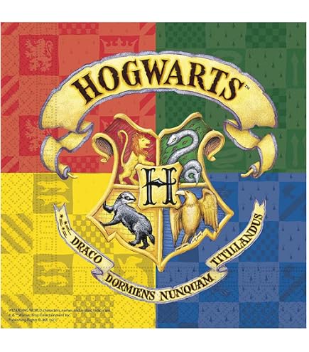 HARRY POTTER QUIDDITCH POP PEN TOPPER - CHOOSE YOUR DESIGN - FUNKO 1 PER ORDER e