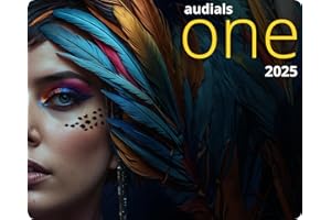 Audials One 2025 - Streaming-Rekorder & Konverter für Musik, Video, Radio, Podcast | One | 1 Gerät | 1 Benutzer | PC Aktivierungscode per Email