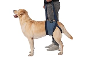 COODEO Dog Sling Carrier for Dogs, Dog Lift Harness for Hind Leg Support, Senior Dog Harness for Weak Rear Legs After ACL Surgery (XXL)