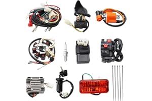 PRO BAT Complete Electrics 4 Stroke ATV QUAD 150 200 250 300CC Wiring Harness CDI 8 Coil Stator Tail Light Zongshen Lifan