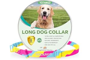 YOTANGO Colliers Anti-Puces pour Chiens, Collier Anti Puces Chien, Réglable Collier Anti Puces pour Chien - 8 Mois de Protection Naturelle Contre Les Puces pour Chiots et Grands Chiens Arc-en-Ciel