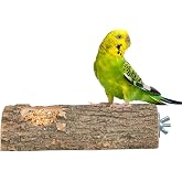 Doğal Ağa&ccedil; Kuş T&uuml;neği Ve Yemlik K&uuml;t&uuml;k T&uuml;nek Yemlikli T&uuml;nek Uzunluk 15 cm