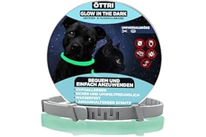 ÖTTRI Zeckenhalsband für Hunde und Katzen | Leuchtendes Präventionshalsband gegen Parasiten mit bis zu 8-Monatigen Schutz | Fluoreszierendes Halsband universell auf Jede Größe verstellbar