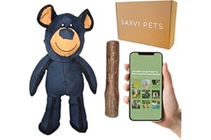SAXVI Pack Juguete Resistente y Mordedor Palo Madera Café Pets – Perros Medianos y Grandes – Juego Seguro y Masticación Natural – Incluye Guía de Consejos – Pack Juguetes Perros