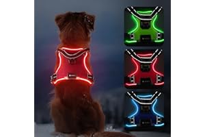 MASBRILL Harnais Chien Lumineux, LED Harnais Chien Anti Traction Réglable pour Petit Moyen Grand Chien, Réfléchissant Réglable Harnais avec 2 Anneaux et Poignée Contrôle, Facile à Mettre(Rouge,XL)