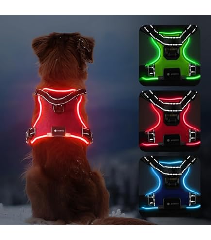 MASBRILL Lichtgevend hondenharnas, led, verstelbaar, voor puppy's en grote honden, 3 verlichtingsmodi, waterdicht en reflecterend (paars, S MASBRILL Lichtgevend hondenharnas, led, verstelbaar, voor puppy's en grote honden, 3 verlichtingsmodi, waterdicht en reflecterend (paars, S