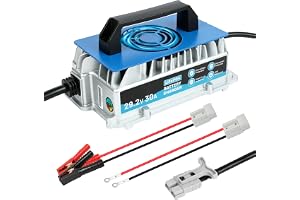 KAISAL 29,2 V 30 A LiFePO4-laddare, LiFePO4 batteriladdare för 24 V/25,6 V litiumbatteri, 0 V aktiverat LiFePO4-batteri, IP67