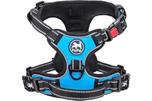 PoyPet No Pull Dog Harness with Neck Release Buckle, Reflective No-Choke Harness with 2 Leash Clip, Adjustable Soft Padded Pet Vest with Easy Control Handle for Small Dogs (Blue,S)