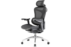 SIHOO Doro C300 Sedia Ufficio Ergonomica con Braccioli Ultra Morbidi in 3D, Supporto Lombare Dinamico per Sedia scrivania a Casa, Sedia da Scrivania con Schienale Regolabile,2 confezioni(Nero)