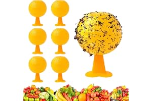 Fruktflugfällor, 6 st klibbiga fruktflugfällor, flugfälla för fruktflugor, naturliga och miljövänliga för fruktflugor, myggor