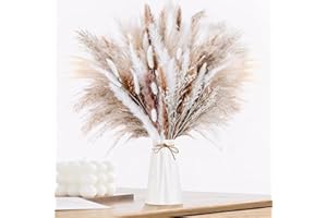 LZGS GO SWING BANDS Fiori secchi decorativi Bouquet Erba Della Pampas Decorative 40-44 cm di fiori secchi naturali fai da te Ideale per il soggiorno Boho Camera da letto e vasi (LZGSGO-0104)