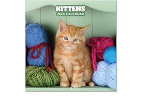 Grupo Erik: Calendario 2026 da Muro Gattini | Calendario Mensile 2026-30x30cm, Planner 2026 - Mensile da Parete