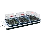 Beckmann Gap Anzuchtkasten Modell D