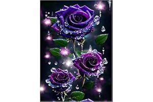 cdsnxore Diamond Painting Rose Diamond Painting Pictures 5D Diamond Painting Frozen Rose Diamond Painting for Living Room Bedroom Wall Decoration (30 x 40 cm)