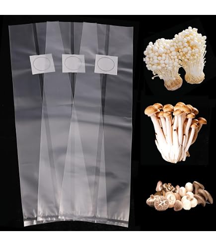 Sacs De Culture Champignons – Lot De 50 – 32x50 Cm – Avec Filtre – Pour Shiitake, Pleurotes…