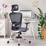 Green Soul® Jupiter High-Back Mesh Ergonomic Chair for Work from Home & Office with Multi-Tilt Lock Mechanism, 2-Dimensional 