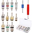 NQEUEPN 100pcs Car Air Conditioner Valve Core Seal Kit, R134a R12 AC Valve Core Kit AC Valve Core Repair Tool for Automotive Air Conditioning with 2 Withdrawal Tools
