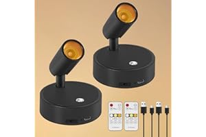 Dehobo Focos para Interiores con Control Remoto 2 Unidad - 3 Modos de Luz Foco LED Recargable con Temporizador y Ajuste de Brillo - Ajuste Ángulo 350° Ideal para Plantas, Pintura y Obras de Arte