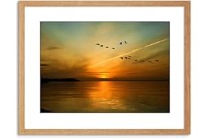Wee Blue Coo 9x7 '' GEESE BIRD FORMATION SUNSET LAKE FRAMED ART PRINT PICTURE PHOTO F97X366