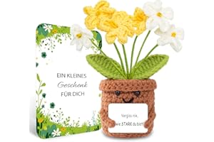 BOAITE Geschenke für Frauen Geburtstagsgeschenk für Frauen Geschenk kreative gestrickte Vergissmeinnicht-Blumen Gute Besserung Geschenke Mama Schwester Kollegin Geburtstagsgeschenk