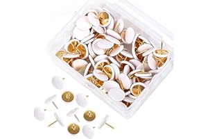FEIBETY 100Pcs Push Pins Decorative Thumb Tacks Round Head Drawing Pins with Storage Box Metal Drawing Push Pins Thumbtack with Steel Point for Map,Photo Wall,Notice Boards Cork Board Bulletin
