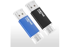 FISTAD Chiavetta USB 64GB, 2 in 1 OTG Pen Drive USB 2.0 Type C 64GB Memoria Stick Thumb Drive Flash Drive per PC, Tablet, USB C Smartphone, ecc (2 Pezzi)