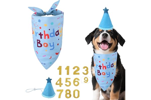 3Pcs Dog Birthday Bandana Set,Dog Party Hat,Adjustable Bandana,Birthday Brooch, Blue Cartoon Polyester Decor for Medium Dogs (Neck 30-50cm)