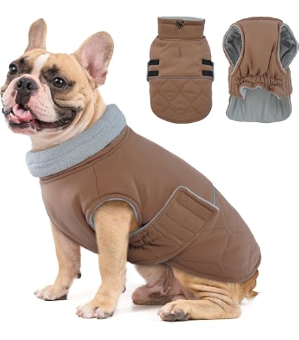 lebon hundebett Hundebett Lebon Hundebett Louis PLUS