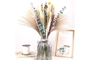 LZGS GO SWING BANDS Flores secas Decoracion Pampas Secas Decoracion Ramo Flores Secas Naturales DIY Ideal para Salón Boho Dormitorio Jarrones (LZGSGO-0101)