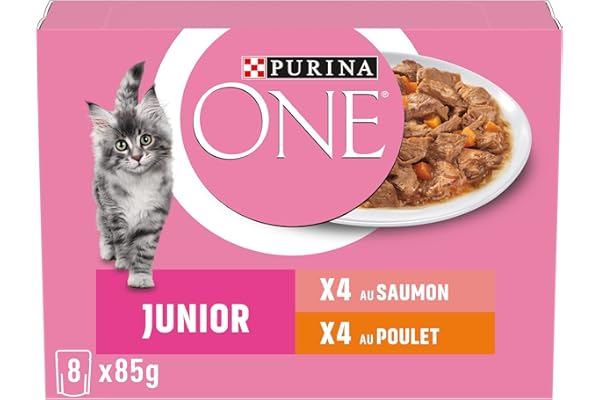 PURINA ONE Chat Kitten Effilés Sauce Saumon Poulet 8x85g